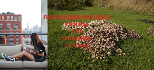каннабис Заволжск