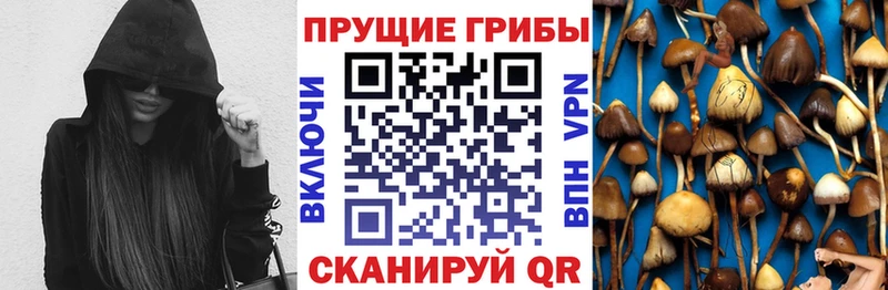 Галлюциногенные грибы GOLDEN TEACHER  Купить где  Кингисепп 